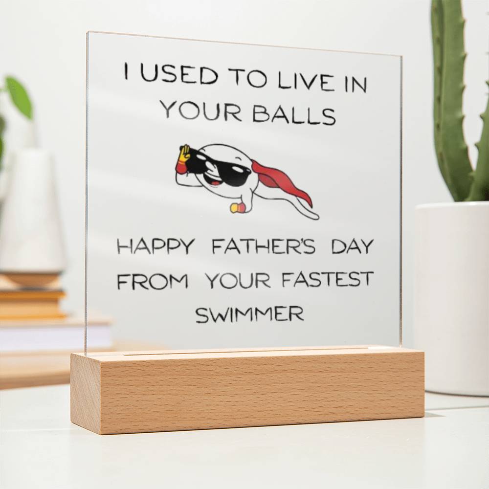 Funny Dad Acrylic Lamp