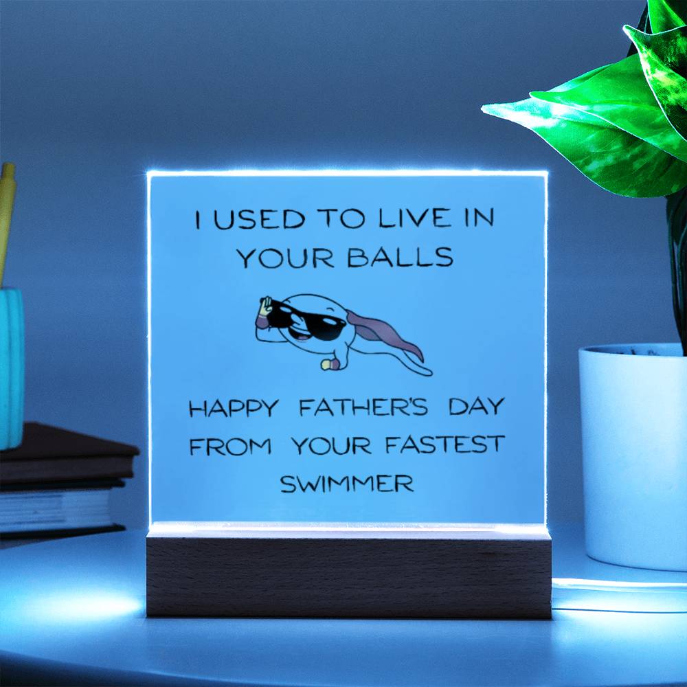 Funny Dad Acrylic Lamp
