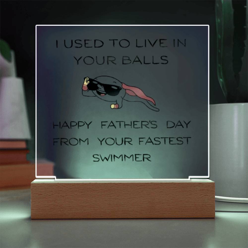 Funny Dad Acrylic Lamp