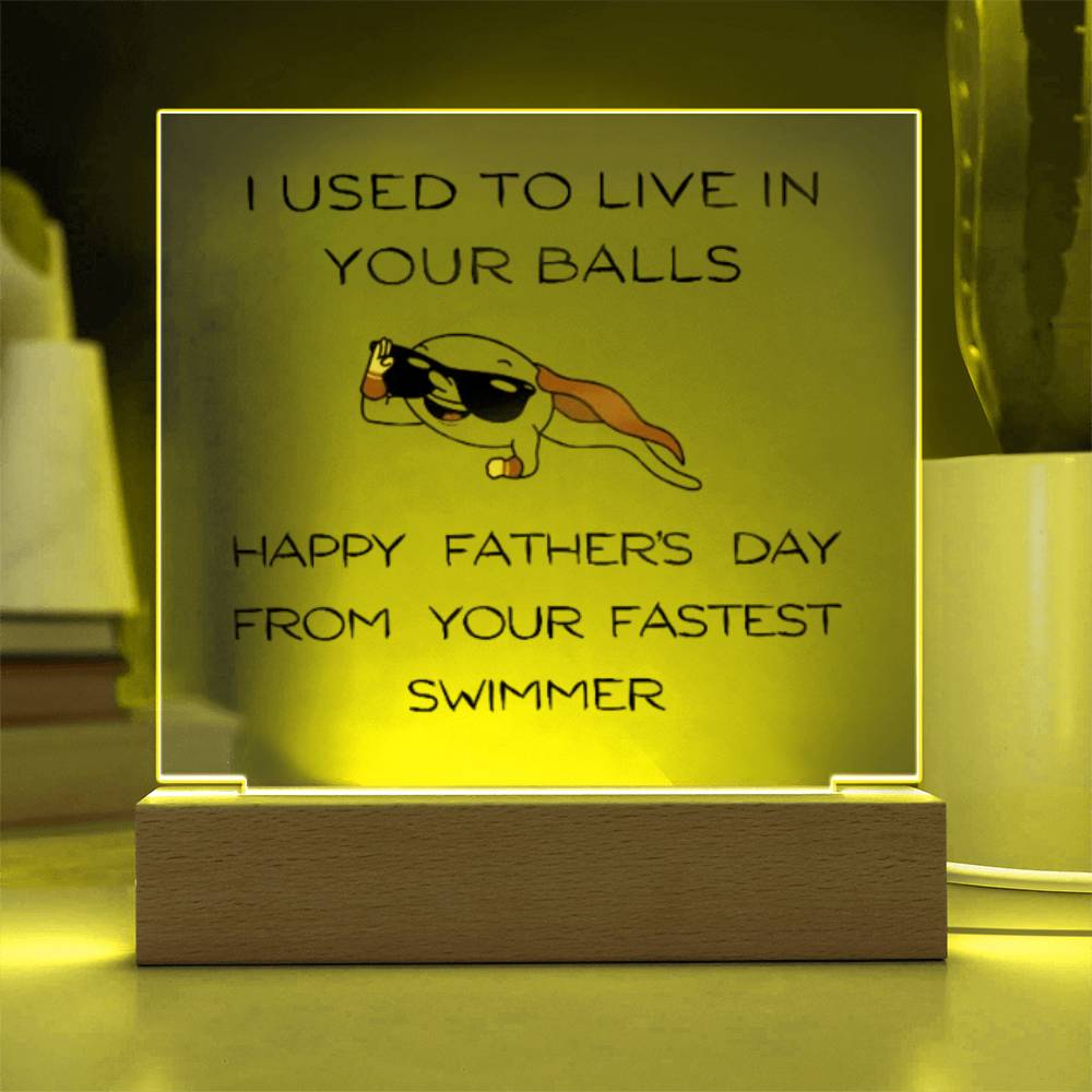 Funny Dad Acrylic Lamp